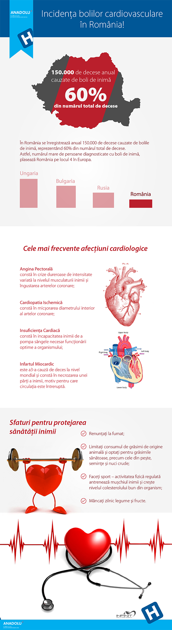 Infografic_boli-cardiovasculare-02