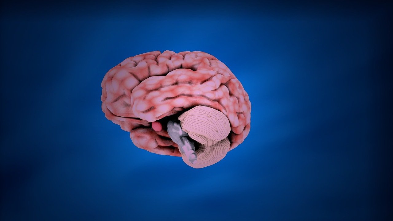 Cauze și simptome ale tumorii cerebrale - Modă - 